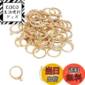 yzUNICRAFTALE 50 1mm t[vsAXp[c 304XeXo[obNCOp[c tX [vt CNbv sAX p[c tbN S[f  X^bhs