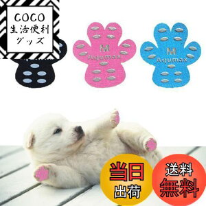 yzAqumax 48 ~ pbh   pbh  ybg CS͂ ~  ی h~ ׂ ~ tbg  p pbh-d؂̏犊藎̂hgNV