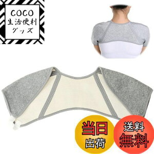 yz[RICISUNG] pT|[^[ p ̕ی EH[}[ \tg₦h~  ۉ [΍ iO[j