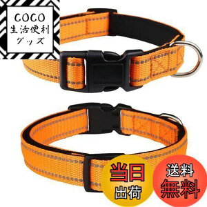 yzTHAIN   ̎ ^A^A^p q  y ybgpi ˍޗ iC ʋC e͐ _炩 ߉\ (L, IW)