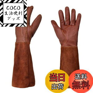 yzTARATI K[fO[u O K[fjO  fB[X Y  Ɨp ϔM ϖ |p  Orی A͎ gQh~ T{e [Y o Orی