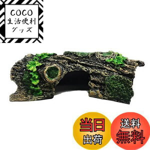 yzCharmoon ANAE IuWF  B  I[ig  u CeA 