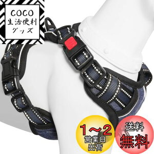 yz[2025ŐV^n[lX]BaoCheng p ^/^/^n[lX p h~ A^}ʂ P݌y TCY\ Ԕˍ Ȃ ʋC ȒP