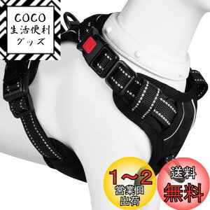 yz[2025ŐV^n[lX]BaoCheng p ^/^/^n[lX p h~ A^}ʂ P݌y TCY\ Ԕˍ Ȃ ʋC ȒP