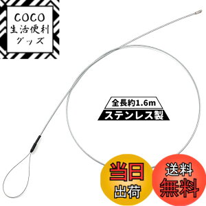 �y���������zDecoyocar �z���K�C�h(�t���b�N�X�^�C�v) �S����1.6m �ʐ��H��