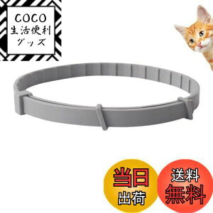 yzItisyou ybg悯 L m~ ybg̒ m~    38cm