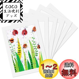 yzHaojiaho Wp tHgt[ 6Zbg A4TCY ypCz q̊G Wp A[gt[ Ǌ|  y  G拳 G W y[p[tHgt[ q