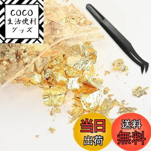 yzBEIHOO  wAp 10g sZbgt zO lCp V[g t[N ͑  l  Ǝ WFlC ZtlC DIYWG[ H|i W 