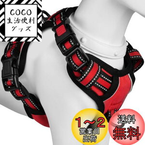 yz[2025ŐV^n[lX]BaoCheng p ^/^/^n[lX p h~ A^}ʂ P݌y TCY\ Ԕˍ Ȃ ʋC ȒP