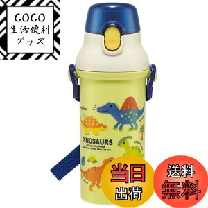 yzXP[^[(Skater)  fBmTEX sN`[ 480ml qp j̎q R vX`bN { PSB5SANAG-A