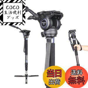 yzINNOREL m|bh X^h J[{ r rfI Bep t[h_ F60 Or ώ 360xpm} ibgbN liLk 72-182cm `[ua33/29/26/22mm őω׏d10kg f
