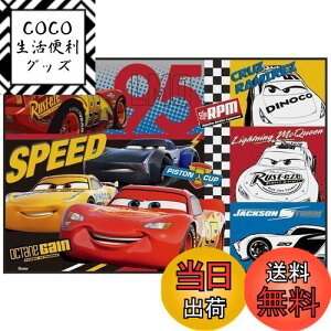 yzXP[^[ (skater) W[V[g STCY 60×90cm fBYj[ J[Y 22 VS1-A