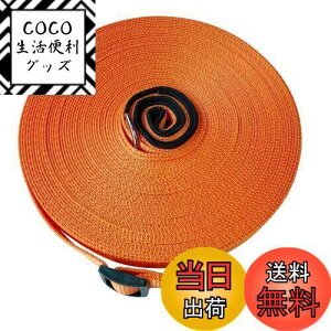 yzp[h O [v  ^E^E^p PEp U Ro ɕ iC v  WP[u (10m, IW)