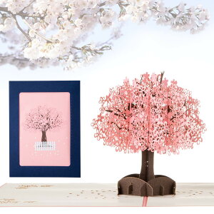 yzKesote bZ[WJ[h  ̃J[h |bvAbvJ[h o^C    t