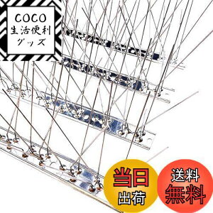 yzONESORA  悯 100%XeX o[hs ϋv y 3mz 悯 XpCN 悯 R LhS JX悯 ̃tQ΍  x_ J[|[g  Ԍ A