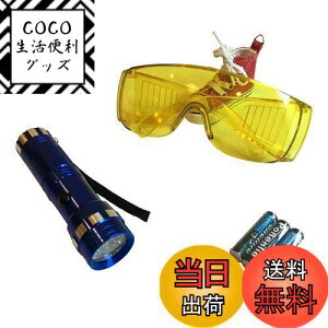 【送料無料】〈HOTEISON〉カーエアコン エアコン ガス漏れ 検知 セット UVライト ゴーグル 単4電池付き