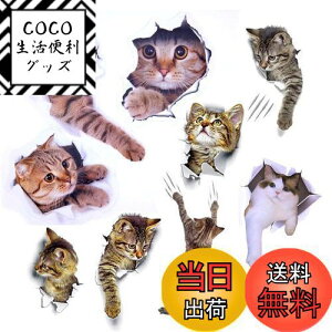 yzPazi EH[XebJ[ L   XebJ[ ˂ V[ 킢 3D ȒP DIY  \Ă͂  ǎ gC  Lb` CeA