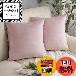 yzPhantoscope NbVJo[ xxbg 2Zbg Vv zcJo[ n Gǂ xA xr[sN 45×45cm