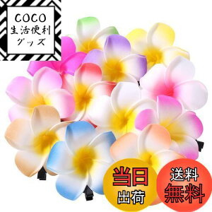 yzFrcolor  wAs wANbv  vA wAANZT[ wANbv nC  wbhhX 6cm 12F 24Zbg