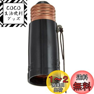 yzpi\jbN(Panasonic) 3\Pbg/P WH1010PK