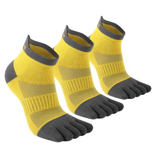 yz[WRELS] 5{w\bNX fB[X Y X|[c ܖ{w\bNX jO \bNX C }\ Ԃ 22~24cm/24~27cm  z FF(3Zbg)CG[ATCYF22.