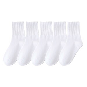 yz[konamiya] C LbY wZw XN[\bNX  5Zbg j̎q ̎q N[\bNX  qp w  ۈ牀 ct w ʉ ʊw FFzCgATC