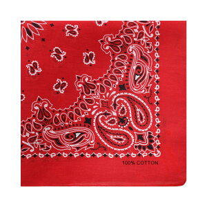 yz[kakatrend] o_i yCY[ Op l 100%  nJ` Rbg ΂񂾂 jZbNX hD[O 唻 Y 55cm×55cm FFbhATCYF55cm×55cm