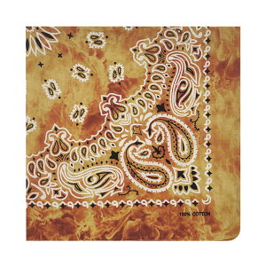 yz[kakatrend] o_i yCY[ Op l 100%  nJ` Rbg ΂񂾂 jZbNX hD[O 唻 Y 55cm×55cm FFi IWATCYF55cm×55cm