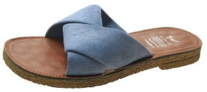 yz[aspersio] [AXyVI] ؂ tbgT_ 킢 NX fUC  fB[X FFqVXu[ATCYF25.0 cm