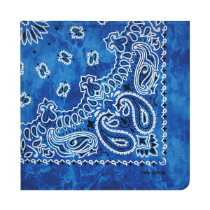 yz[kakatrend] o_i yCY[ Op l 100%  nJ` Rbg ΂񂾂 jZbNX hD[O 唻 Y 55cm×55cm FFi FATCYF55cm×55cm