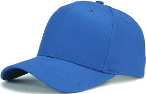 yz[Laquest] iNGXgj Rbg Vv x[X{[Lbv ʃTCY^傫TCY(ő65cm) ┖̖ Y^fB[X FFu[ATCYF58.0 cm