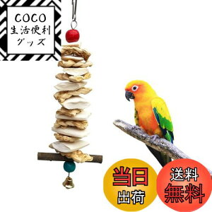 yz  Jg{[ VR CR  CJ̍ x ݂艺 ނ  IE IJCR ZLZCCR JVE̕⋋ FFx[W B