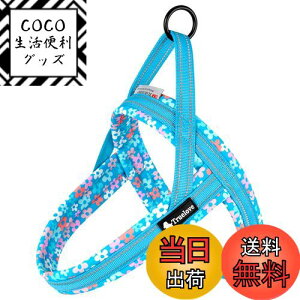 yzcocomall 2025ŐVAɗDn[lX TRUE LOVE{X pn[lX p hbO ybgpi n[lX[h 3Mˍޗ P lIvf ^A^A^Ɍ