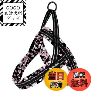 yzcocomall 2025ŐVAɗDn[lX TRUE LOVE{X pn[lX p hbO ybgpi n[lX[h 3Mˍޗ P lIvf ^A^A^Ɍ