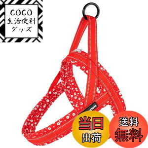 yzcocomall 2025ŐVAɗDn[lX TRUE LOVE{X pn[lX p hbO ybgpi n[lX[h 3Mˍޗ P lIvf ^A^A^Ɍ