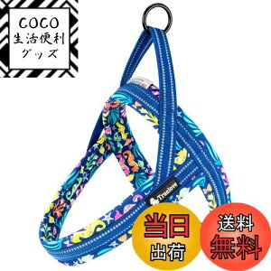 yzcocomall 2025ŐVAɗDn[lX TRUE LOVE{X pn[lX p hbO ybgpi n[lX[h 3Mˍޗ P lIvf ^A^A^Ɍ