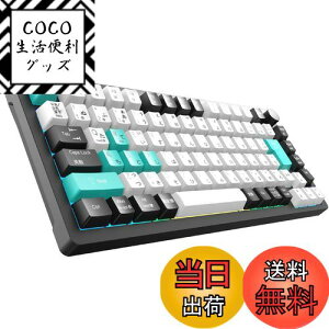 yzQ[~OL[{[h 2025NƊE {JISz񁕂Ȉ󎚈̉ 75%RpNg JjJL[{[h KXPbg}Eg/TeCg 40g PBTL[Lbv JX^}C