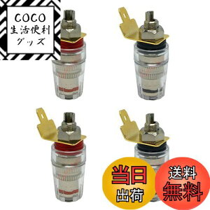 yzGeeSo 46mmiXs[J[^[~i^J̃jbP߂[q[2yA]T|[goiivO