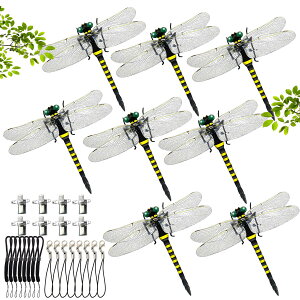 yzDODOGOD g{ ObY 5CZbg Ki 傫 12cm LkXgbv Ss QVG \h I悯 ΍ x    ͌^ g{ oR ƒ؉ 