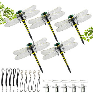 yzDODOGOD g{ ObY 5CZbg Ki 傫 12cm LkXgbv Ss QVG \h I悯 ΍ x    ͌^ g{ oR ƒ؉ 