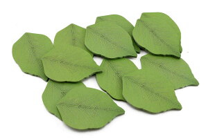 yzNAVIRE 킢 t   pbh t 12 Zbg