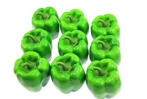 yzspeed mao A {  s[} HiTv Hi͌^ 9 Zbg 