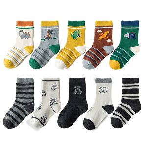 yz[HAYAHARU]  LbY C q 10Zbg Jt  ̎q X|[c\bNX j̎q XN[\bNX  _炩 ʉʊw R FFIATCYFL