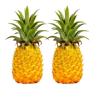 yzArchnote HiTv t[c pCibv fBXvC u IuWF A 2 FFCG[