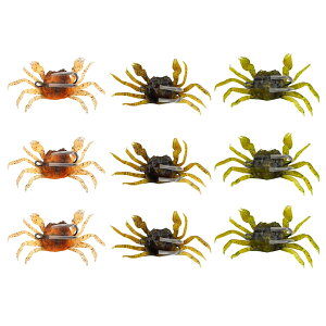 yzArchnote Jj[ ^Rނ [ A[ ^RGM ^RxCg ^R `k \tg ^a FF}`J[3Zbg(9)ATCYF