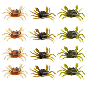 yzArchnote Jj[ ^Rނ [ A[ ^RGM ^RxCg ^R `k \tg ^a FF}`J[4Zbg(12)ATCYF