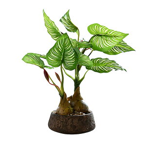 yzArchnote ϗtA tFCN O[ tFCNO[  Xe lHϗtA ~j   A FFO[ATCYF~j