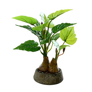 yzArchnote ϗtA tFCN O[ tFCNO[  Xe lHϗtA ~j   A FFO[ATCYF~j