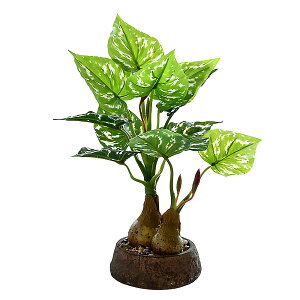 yzArchnote ϗtA tFCN O[ tFCNO[  Xe lHϗtA ~j   A FFO[ATCYF~j