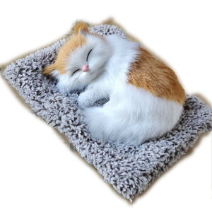 yzTOMMYFIELD L u CeA 킢 Yi ˂ ʂ A Y [sAi] FFCG[